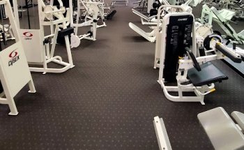 Elite Fitness North