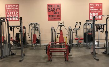 Flex One Trinity