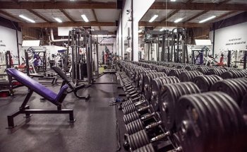 PDX Muscle