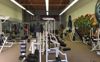 The Jungle