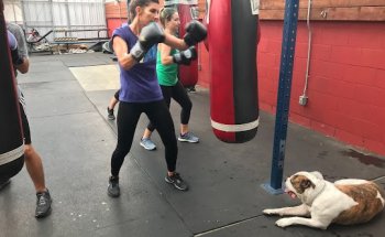 Braxton's Combat Sports and Fitness