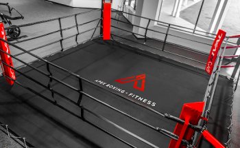 Apex Boxing and Fitness