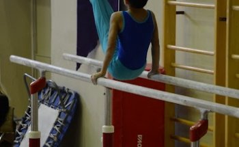 American Gymnastics Training Center