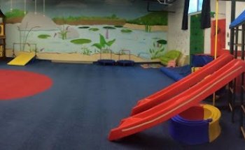 Whippersnapper's Play Gym