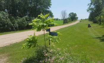 Suzanne's Orchard