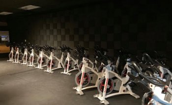 Reboot Cycle and Sculpt Studio LLC