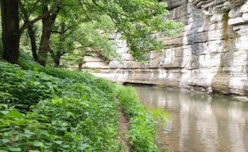 Armpit Of Howards Creek
