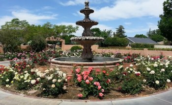 Green Valley Spa & Resort