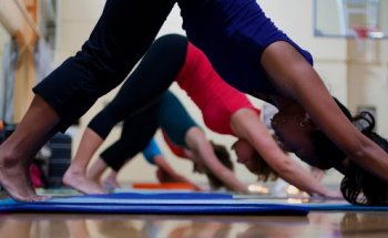 Harbor Wellness Studios
