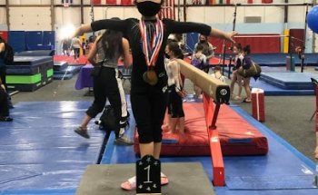 Mr Todd's Gymnastics