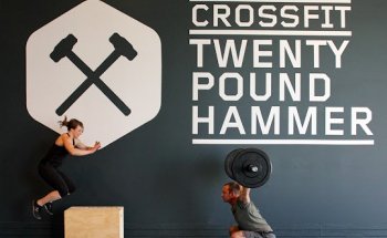 CrossFit Twenty Pound Hammer