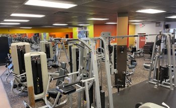 New U Fitness Jax