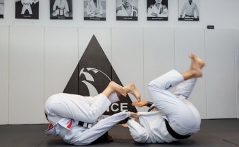 Alliance Jiu Jitsu - Key Biscayne - Miami, FL
