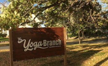 The Yoga Branch