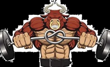 Power Shed Gym