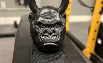 Yoked Fitness Studio