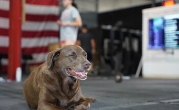 Flatland CrossFit