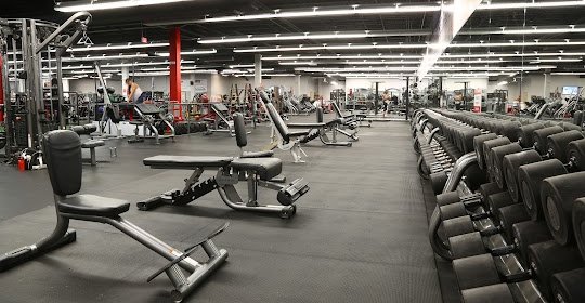 Powerhouse Gym Athletic Club, Tampa, FL: Opening Hours, Price and Opinions