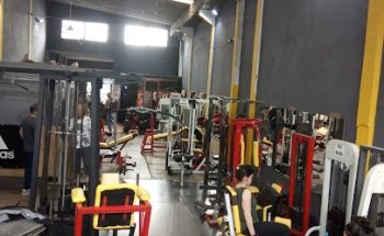 Equilibrium Gym