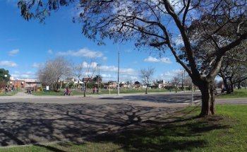 Espacio Verde y Cancha de Deportes