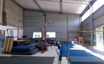 Escuela de Desarrollo Gimnástico EDG