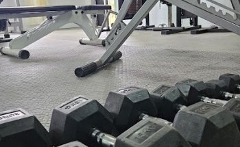 Gimnasio Fiber