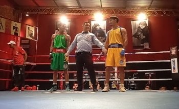 American Box