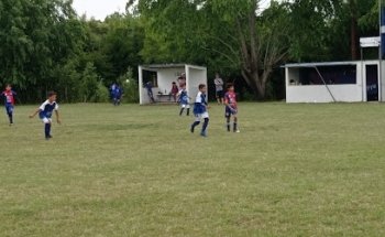 Cancha De Baby Nacional Tala