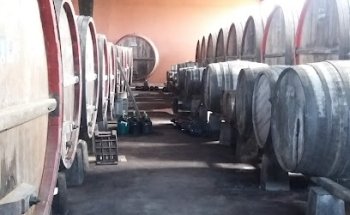 Entrada a recorrido pai 2015