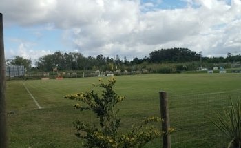 Cancha Ivy Thomas