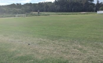 Cancha de la Marina