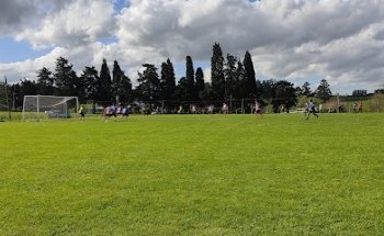 Liga MVD