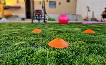 Sole Fitness Training