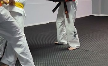 Dojo Suna Escuela Kyokukaikan