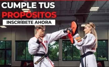 Phoenix Artes Marciales
