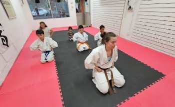 Academia Seiken Dojo