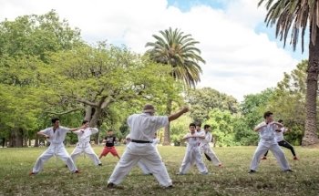 Dojo Molle Toledo