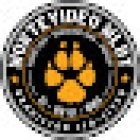 MLDT Brazilian Jiu Jitsu